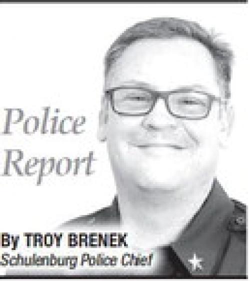 SPD Finds Bison Heads in Alley