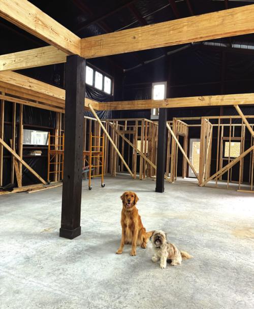 Bozzy and Clementine inside the spa in development directly behind the shop, Sown With Seed. Owners are Morgan Zator and Todd Campbell.