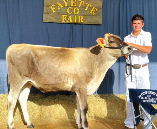 Annual Fayette County Fair Livestock Results