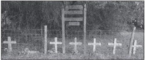 Dubina Cemetery, Sugarek burial place. Picture is courtesy of Fayette Archives