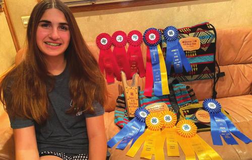 Fayette County 4-H Students Compete at District 11 Horse Show