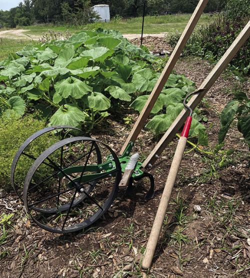 This wheel hoe from Hoss Tools has helped me greatly with keeping weeds under control. Leaning next to it with a singletine cultivator, a great little tool for cultivating small weeds under established plants. The knife-looking tool sitting on wheel hoe’s green tool bar is just a spade. Everyone needs a spade.