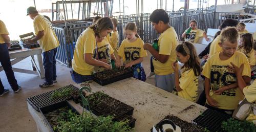 Students learned about transplanting during a horticulture program sponsored by Doug Janda of Hostyn Hill Greenhouses. Photos by Andy Behlen