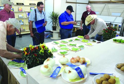 Judging last week of this year’s vegetable and crop entries. Photo by Jeff Wick