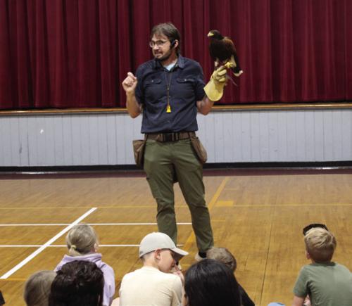 Birds of Prey Come to La Grange