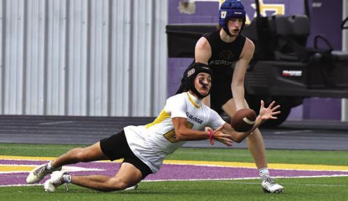 La Grange’s Ethan Prasek makes a nice diving catch Friday. Photo by Darrell D. Gest