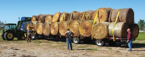 Local volunteers at the Colorado River Cowboy Church loaded an 18-wheeler with hay destined for ranchers is Eastland County devastated by recent fires. Photo by Andy Behlen