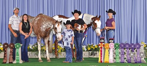 Locals Claim Titles at the Pinto World Championship Show in Tulsa