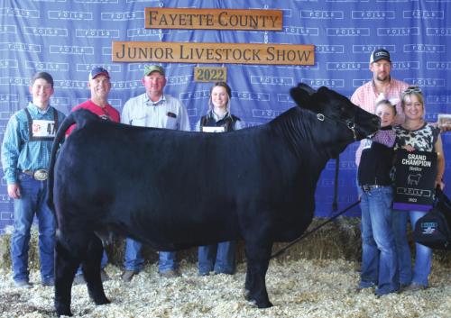 Fayette County Junior Livestock Heifer Show Champions