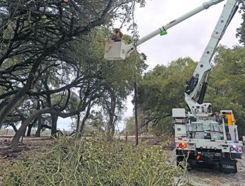 FEC Lineman Aaron Tonn trims a frozen branch away from a power line, helping restore service and prevent additional outages during last weekend’s winter weather.