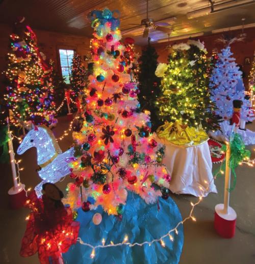 Christmas Tree Forest