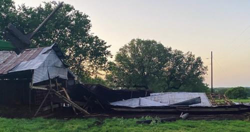 A barn on the McBride place near Engle collapsed with 25 head of cattle trapped inside on Saturday because of a storm.