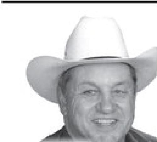 Sheriff Reports on November Activity
