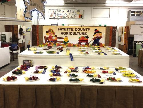 A photo from a previous Agriculture Exhibit at The Fayette County Fair.