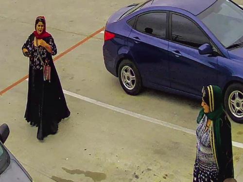 Suspects Sought in Ace Hardware Theft