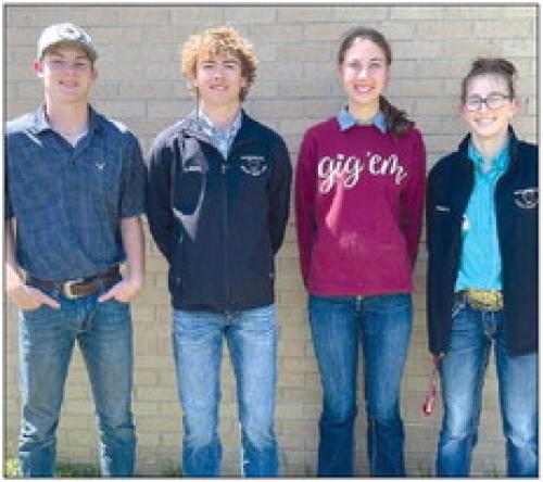 The Schulenburg Poultry Judging team is advancing to state and placed 3rd at the Area XI Contest Saturday in College Station. Zane Brenek placed 7th individually, Meredith Magliolo placed 8th individually. Team members include Zane Brenek, Kaz McBride, Meredith Magliolo and CJ Prihoda.
