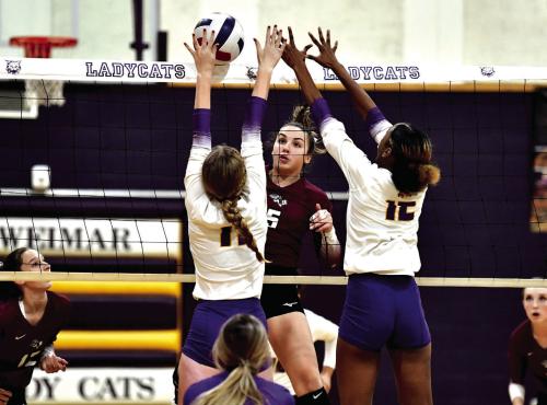 Weimar Downs Flatonia