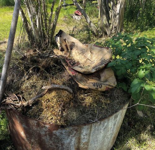 Anatomy of a Compost Pile