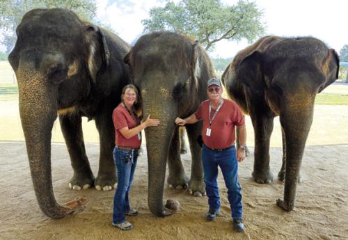 Joan and James Ivy recently visited The Preserve in Stonewall. They are pictured here with some of the resident elephants.
