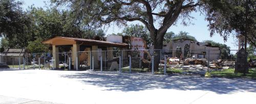 Hostyn Festival Mass to Be Near Damaged Church