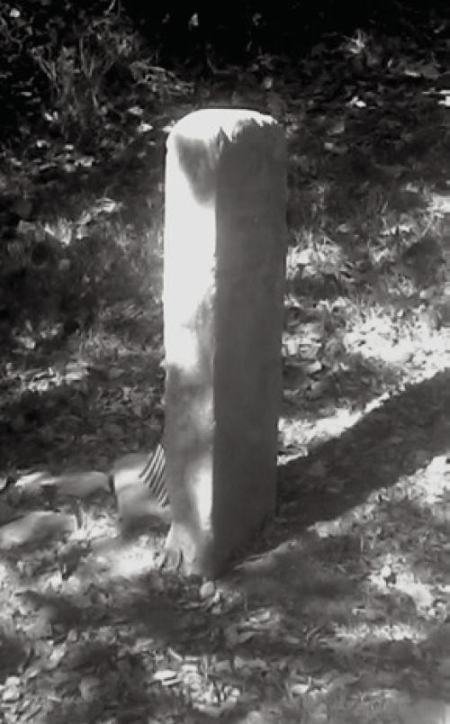 The rural grave of this Fayette County veteran is marked with a flag.