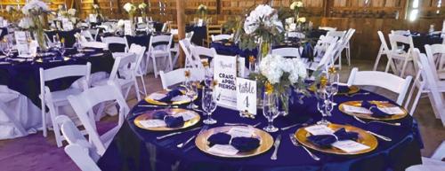 Senior Connections held its Second annual New Year’s Eve Heritage Ball at the Freyburg Hall, benefiting the members of Senior Connections and serving the elderly population of Fayette, Colorado, and Lavaca counties. A live auction and a whisky wall brought invaluable funding for the organization.
