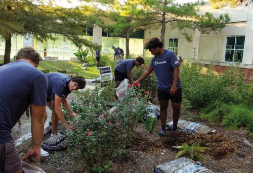 Leopard Players Spruce Up St. Mark’s Healing Garden