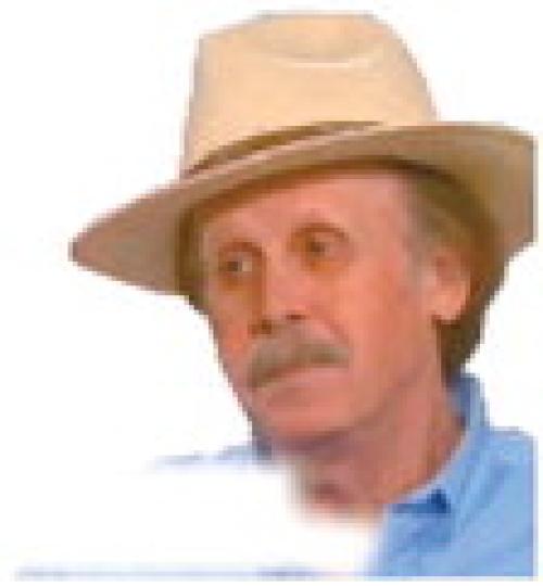 Alt Text for Image