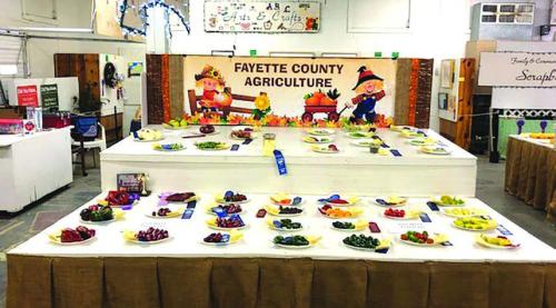 County Fair Seeking Agriculture Entries