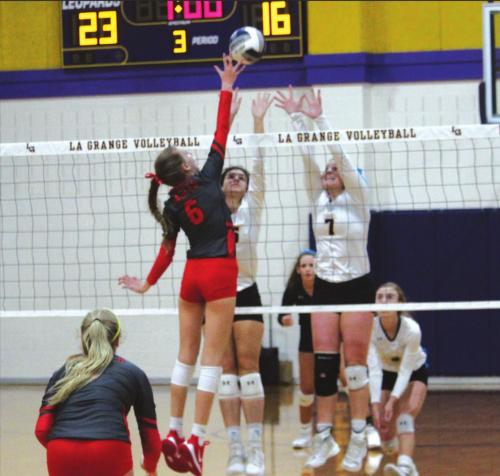 LG Gets First Volleyball Victory of 2020 Season