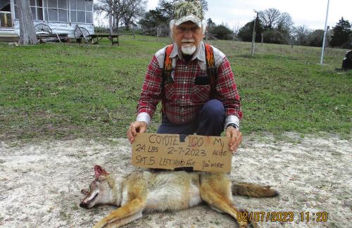 Marburger Snares 100th Coyote