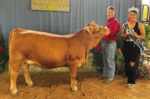 JUNIOR BEEF BREEDING SHOW GRAND OVERALL Cooper Mau with Fayette County Fair Queen Teagan Branch