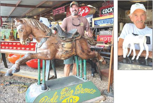 Horsing Around Warrenton