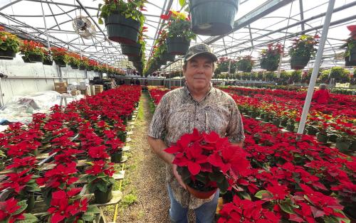 It’s Beginning to Look a Lot Like Christmas – in Hostyn