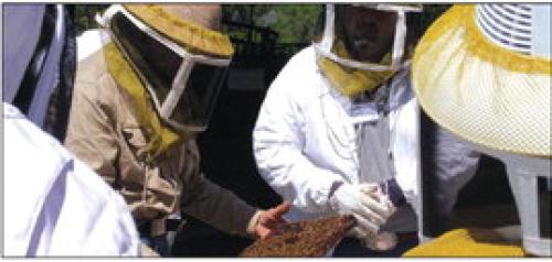 Central Texas Beekeepers School Set
