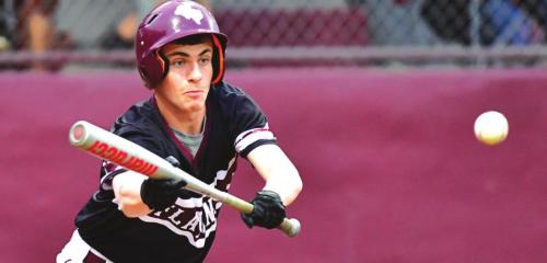 Four County Baseball Teams Ready for Postseason