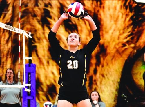 Giddings Beats Lady Leps to Break First Place Tie
