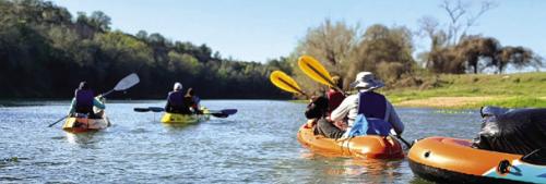Six Wicks (and two dogs) on the Colorado River last week.