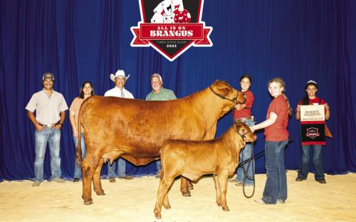 Rachel Matocha Wins Reserve Grand Champion
