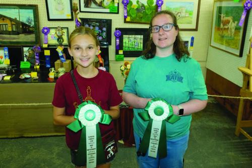 BEST OF THE ARTS AND CRAFTS DEPARTMENT Picture are (from left) Brylee Brugger - 8 to 12 year olds - wooden patio chair, and Melissa Baker - 18 and above - Train Depot diamond art. Not pictured was Cara Homer - 13 to 17 year olds decorated overalls.