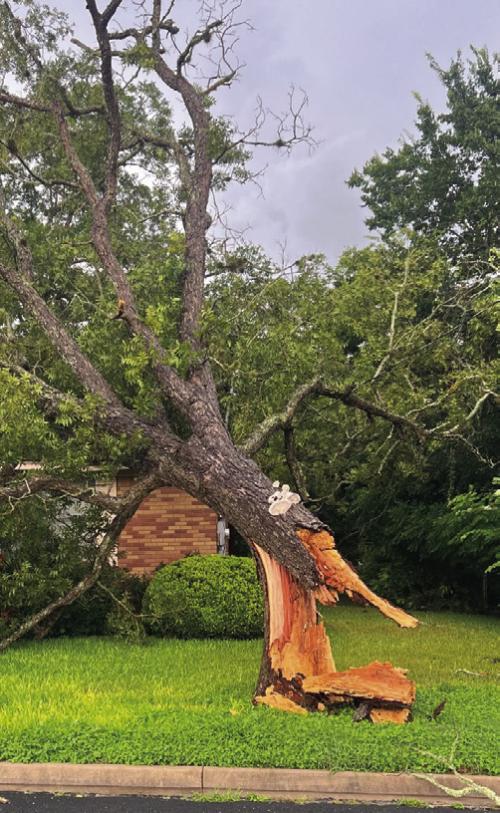 Storm Winds Pack a Punch Here