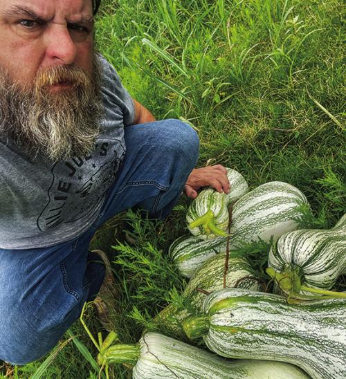 Some of my cushaw squash weigh over 20 lbs. a piece.