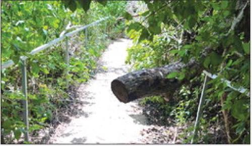 It’s An Uphill Battle Dealing With Mother Nature