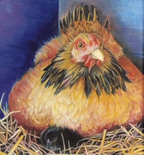 “Mother and Chick” drawing by Grace Moore, a winner from last year’s competition.