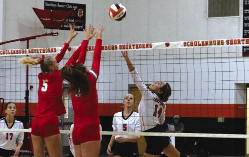 Schulenburg  Volleyball Update