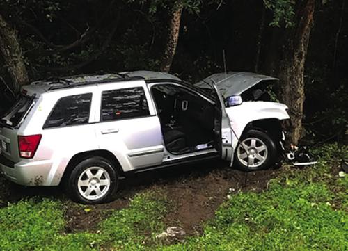 As law enforcement officers approached this vehicle after it wrecked following a pursuit on South Knesek Road, a swarm of bees was observed around the vehicle and they stung officers.