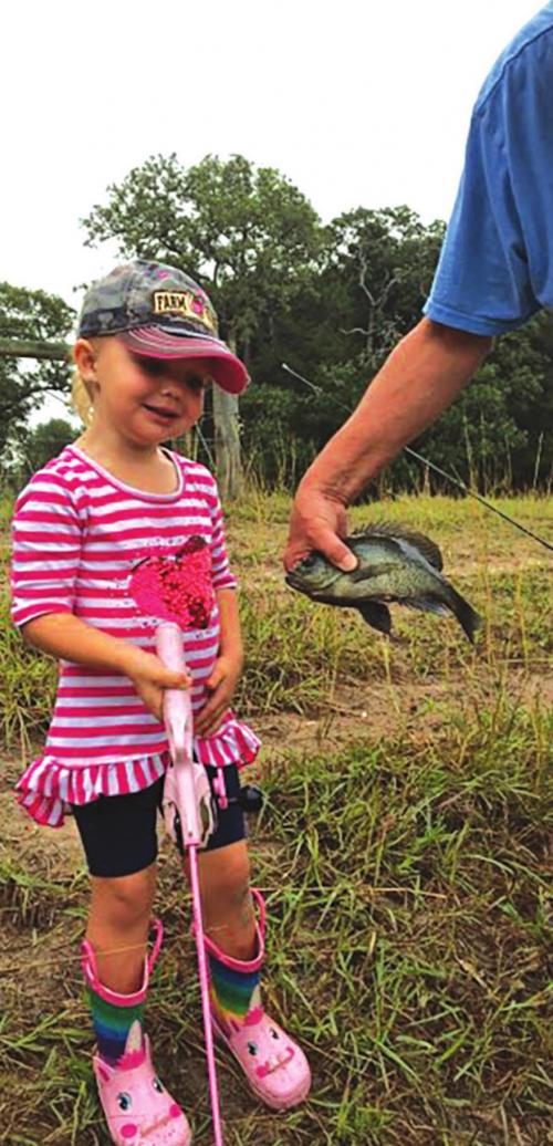 Fishing Fun In the Sun