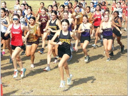 Schulenburg Hosts Cross Country Meet