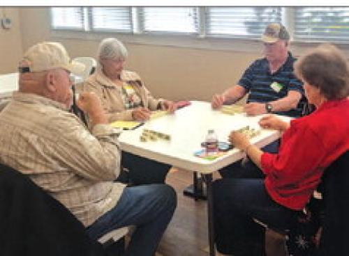 Senior Citizens Game Days On the Grow in La Grange