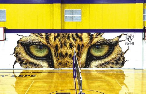 Giant Lep Mural in Memory of Emily Fritsch